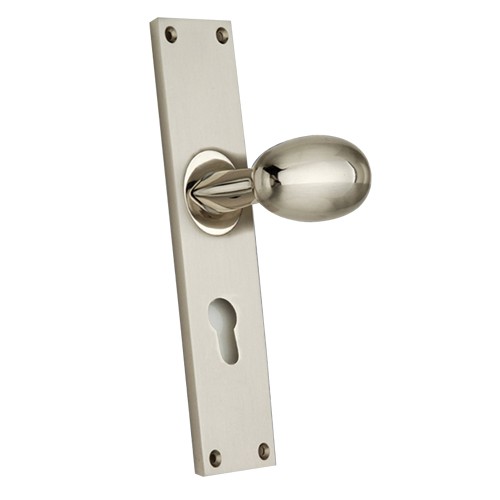 "Accad" Zinc Handle with Back Plate